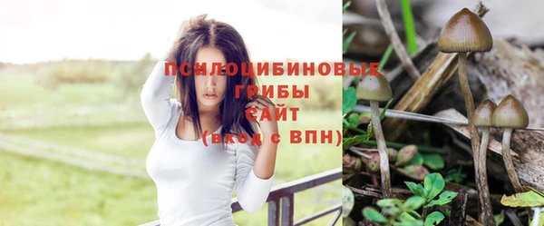 мдма Горняк